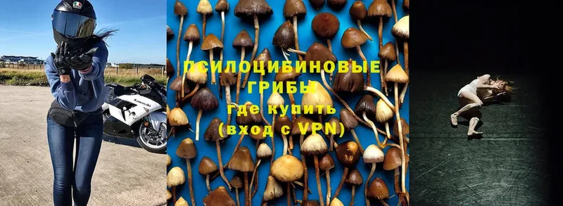 OMG рабочий сайт  Мирный  Псилоцибиновые грибы MAGIC MUSHROOMS 